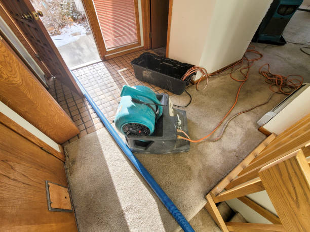 Best Ceiling water damage repair  in Silsbee, TX