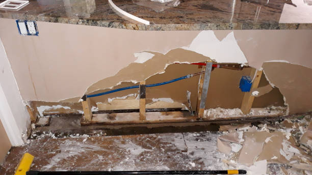 Best Basement water damage restoration  in Silsbee, TX