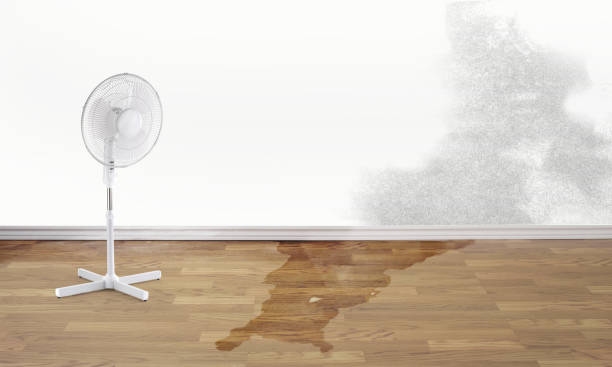 Best Water damage restoration company  in Silsbee, TX