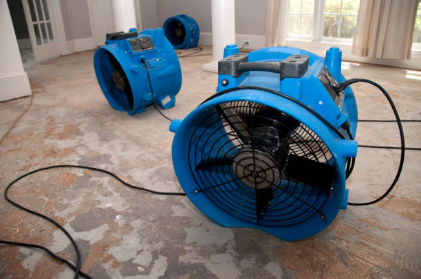 Best Basement water damage restoration  in Silsbee, TX