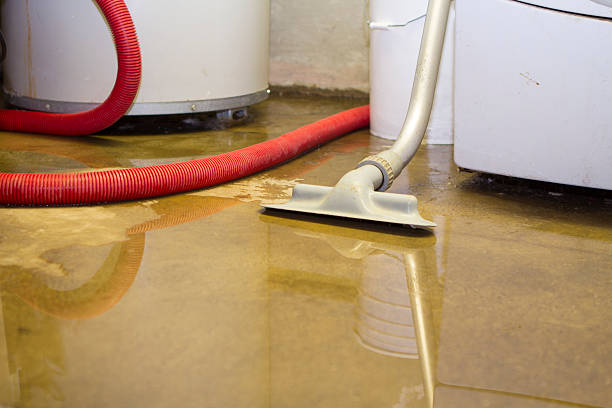 Best Fire Damage Restoration  in Silsbee, TX
