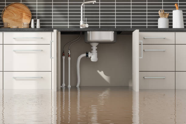 Best Flood damage cleanup  in Silsbee, TX